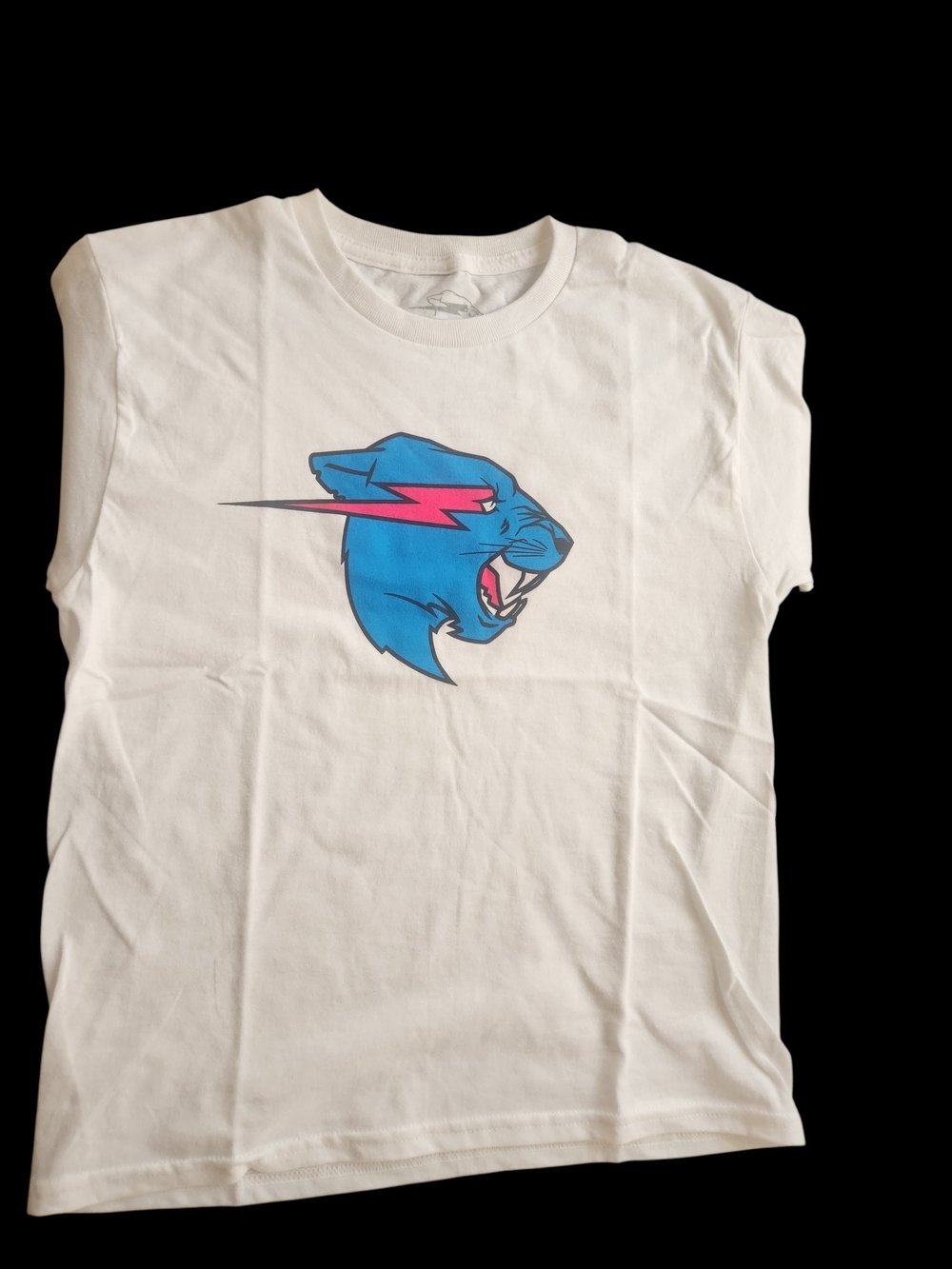 Mr. Beast Basics 10Y